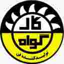 کار گواه فن