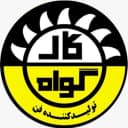 کار گواه فن